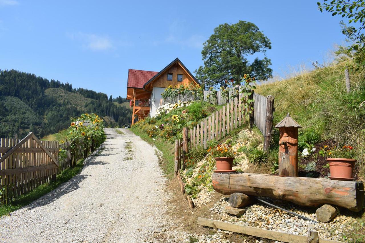 Ferienhaus Schleinzer Prebl Экстерьер фото